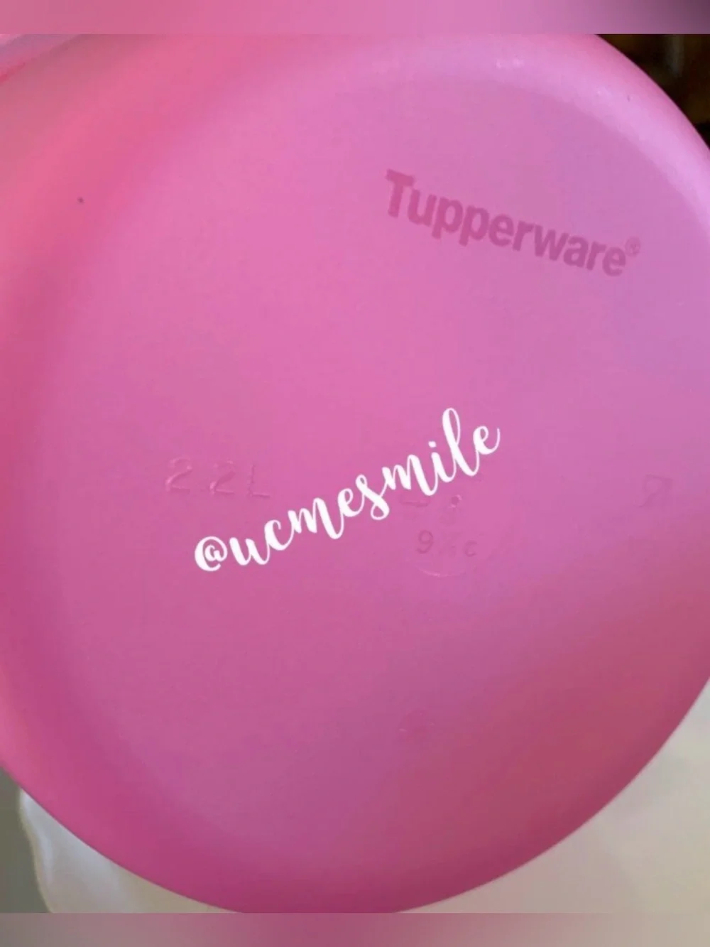 Tupperware Microwave Pink Rice & Vegetable Cooker Steamer